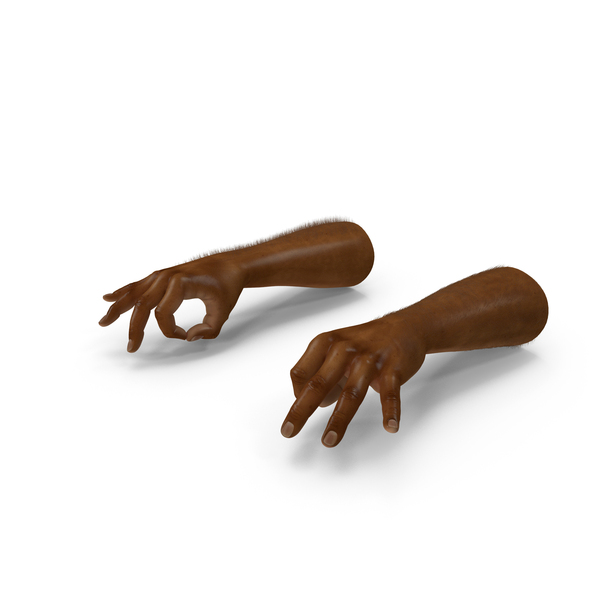 Hand: African Man Hands with Fur Pose PNG & PSD Images