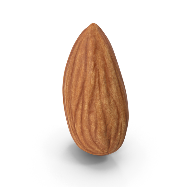 Almond PNG Images & PSDs for Download | PixelSquid - S11317608A