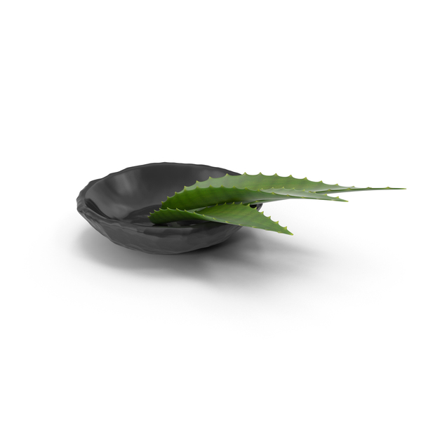 Aloe Leaf on Granite Plate PNG & PSD Images Aloe Leaf on Granite Plate PNG & PSD Images