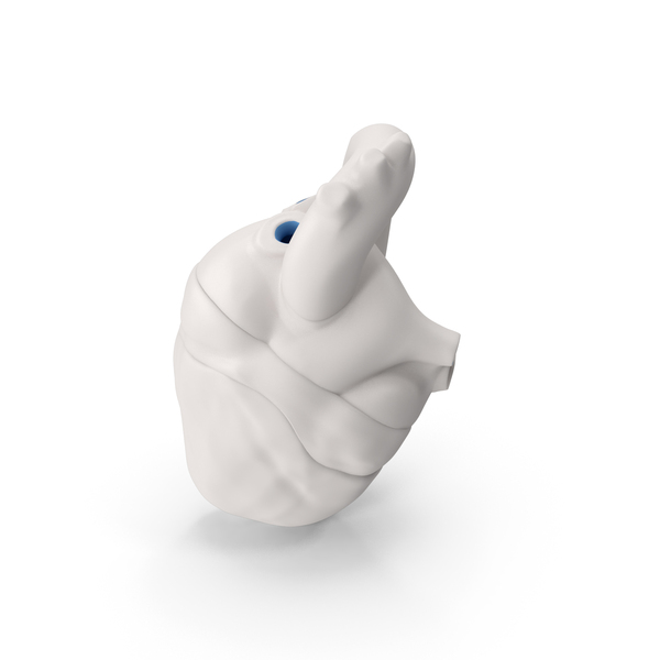 Human: Anatomic Heart PNG & PSD Images
