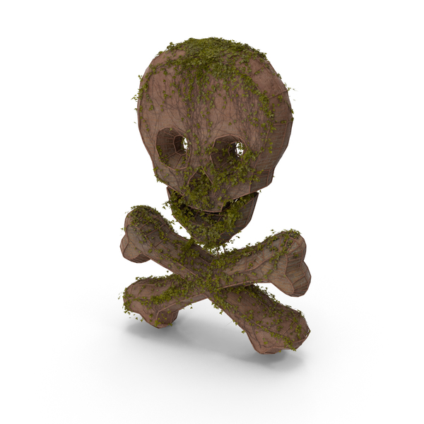 Pirate Flag: Ancient Stone with Ivy Skull Cross Bone PNG & PSD Images Pirate Flag: Ancient Stone with Ivy Skull Cross Bone PNG & PSD Images