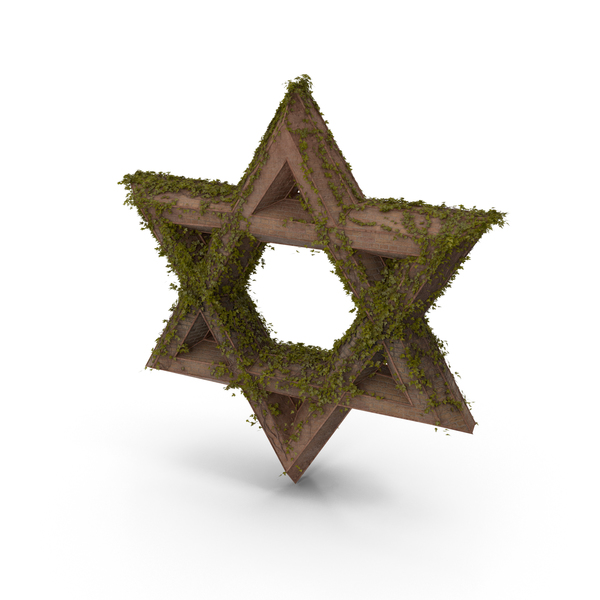 Ancient Stone with Ivy Star of David PNG & PSD Images Ancient Stone with Ivy Star of David PNG & PSD Images