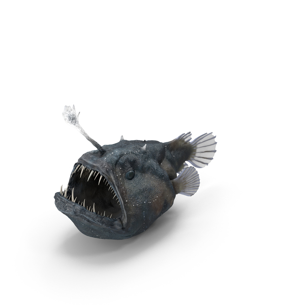 Fish: Anglerfish PNG & PSD Images Fish: Anglerfish PNG & PSD Images