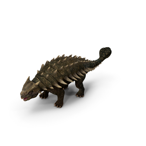 Ankylosaurus PNG Images & PSDs for Download | PixelSquid
