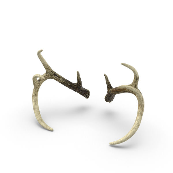 Mounted: Antlers PNG & PSD Images