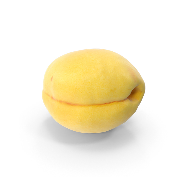 Apricot PNG & PSD Images Apricot PNG & PSD Images