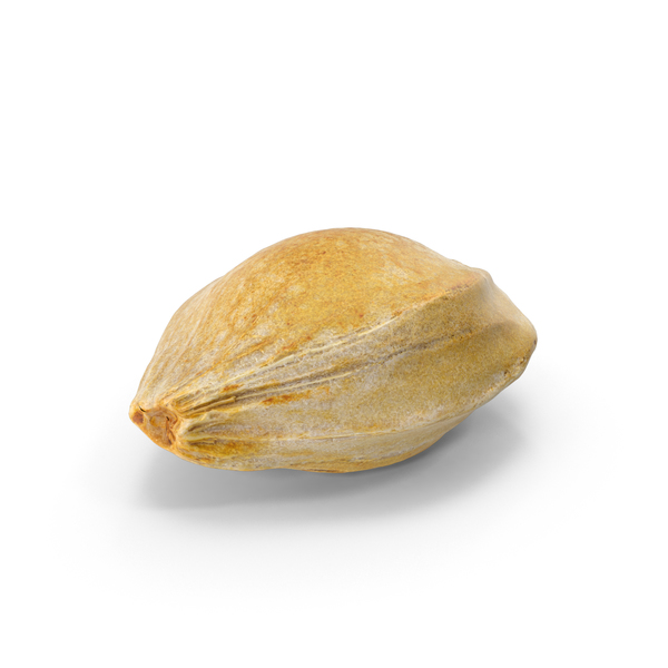 Apricot Seed PNG & PSD Images Apricot Seed PNG & PSD Images