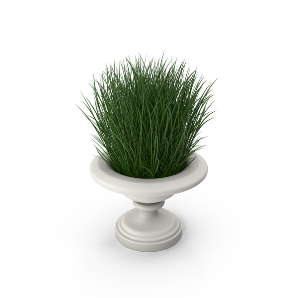 Arch: Architectural Module Vase with Plants PNG & PSD Images Arch: Architectural Module Vase with Plants PNG & PSD Images