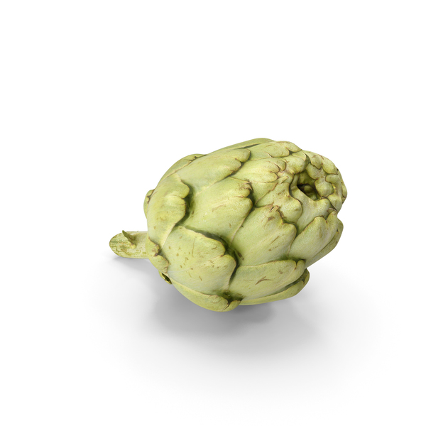 Artichoke PNG & PSD Images Artichoke PNG & PSD Images