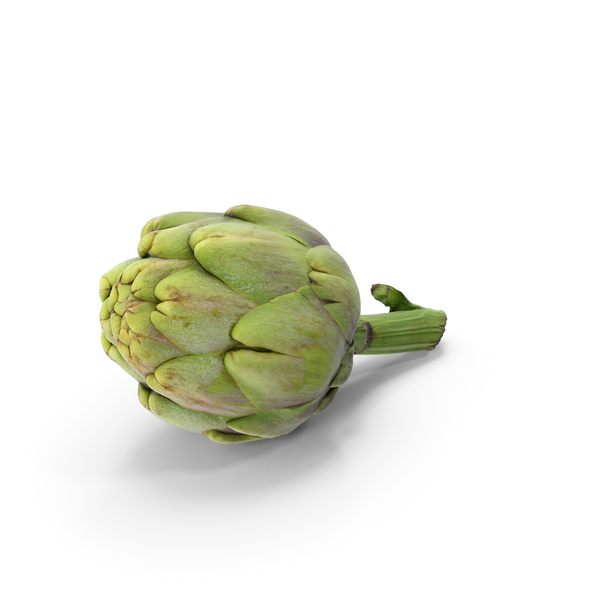 Artichoke png images psds for download pixelsquid s12026229e