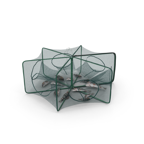 Net: Automatic Pop-Up Fishing Trap and Captured Fish PNG & PSD Images Net: Automatic Pop-Up Fishing Trap and Captured Fish PNG & PSD Images