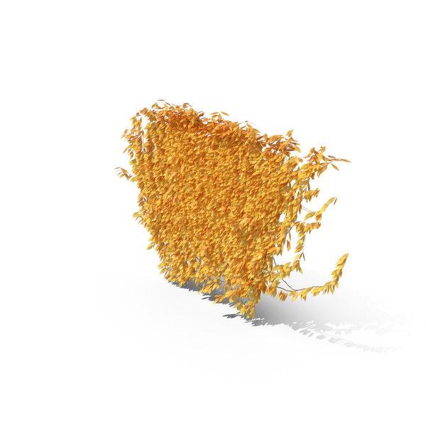 Autumn Ivy PNG & PSD Images Autumn Ivy PNG & PSD Images