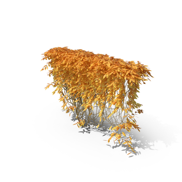 Autumn Ivy PNG & PSD Images Autumn Ivy PNG & PSD Images