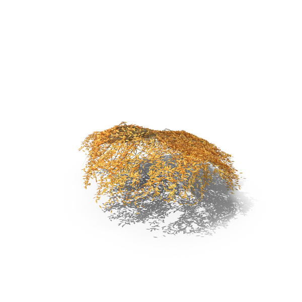 Autumn Ivy PNG & PSD Images Autumn Ivy PNG & PSD Images