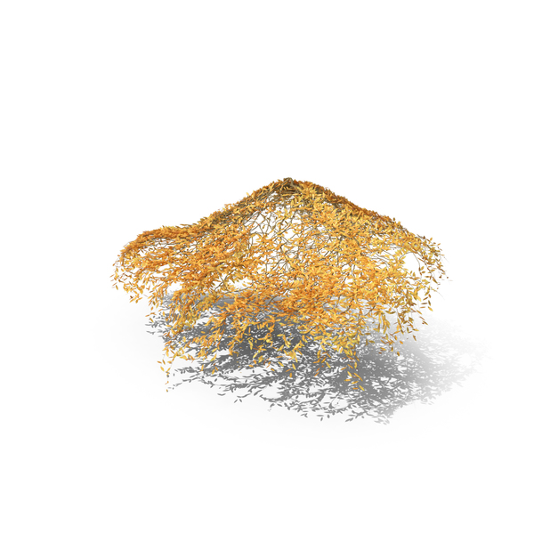 Autumn Ivy PNG & PSD Images Autumn Ivy PNG & PSD Images