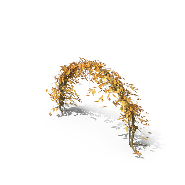 Autumn Ivy Arch PNG & PSD Images Autumn Ivy Arch PNG & PSD Images