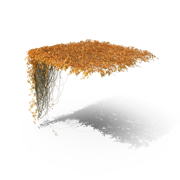 Autumn Ivy PNG & PSD Images Autumn Ivy PNG & PSD Images