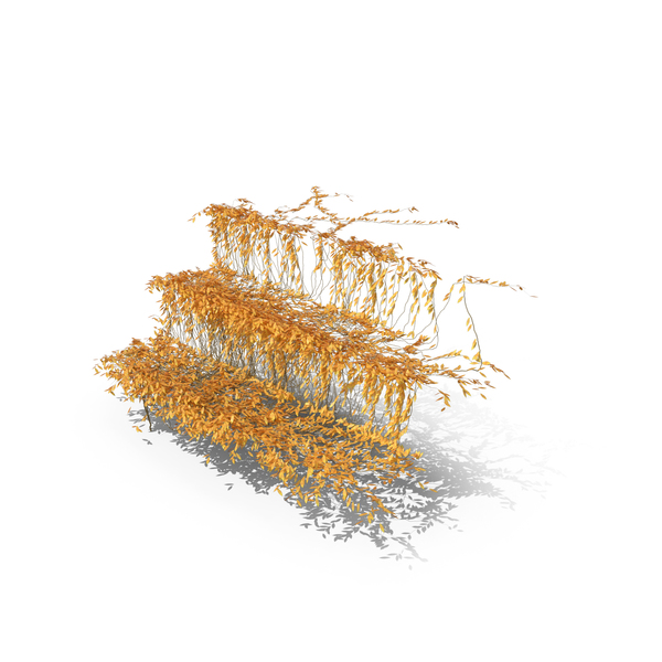 Autumn Ivy PNG & PSD Images Autumn Ivy PNG & PSD Images