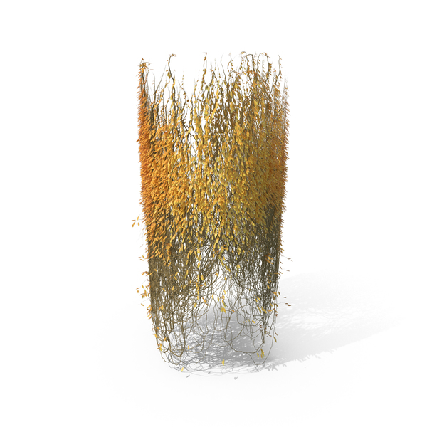 Vine: Autumn P1 17 PNG & PSD Images