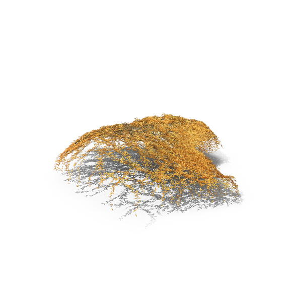Autumnal Ivy PNG & PSD Images Autumnal Ivy PNG & PSD Images