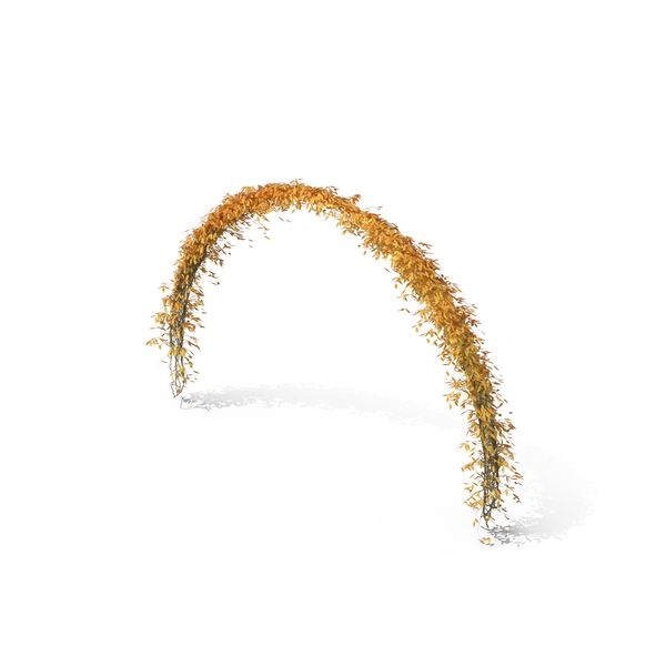 Autumnal Ivy Arch PNG & PSD Images Autumnal Ivy Arch PNG & PSD Images