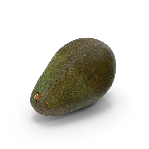 Avocado Haas PNG & PSD Images Avocado Haas PNG & PSD Images