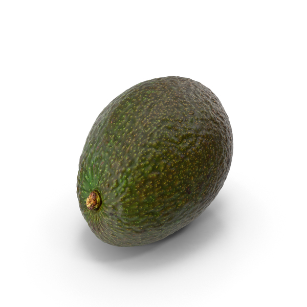 Avocado Haas PNG & PSD Images Avocado Haas PNG & PSD Images