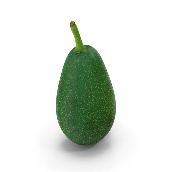 Avocado Scan PNG & PSD Images Avocado Scan PNG & PSD Images