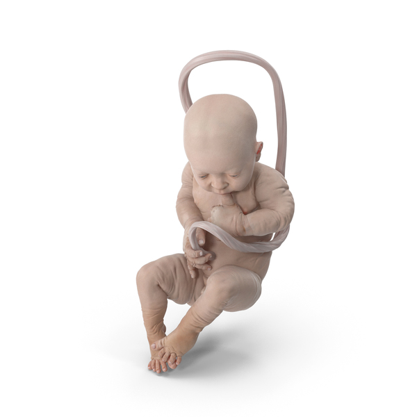 Baby Boy at 38 Weeks PNG & PSD Images Baby Boy at 38 Weeks PNG & PSD Images