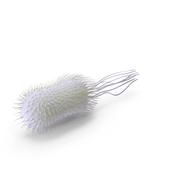 Bacteria Yellow PNG & PSD Images Bacteria Yellow PNG & PSD Images