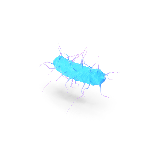 Bacteria Png Images & Psds For Download 