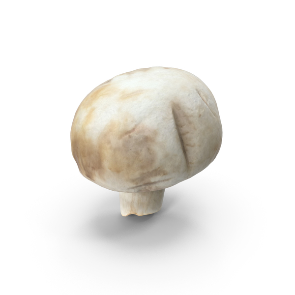 Meadow: Bad Mushroom PNG & PSD Images Meadow: Bad Mushroom PNG & PSD Images