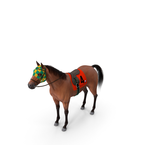 Bay Racing Horse Fur PNG & PSD Images Bay Racing Horse Fur PNG & PSD Images