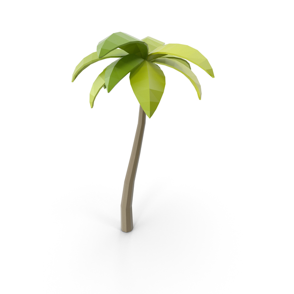 Palm: Beach Tree PNG & PSD Images