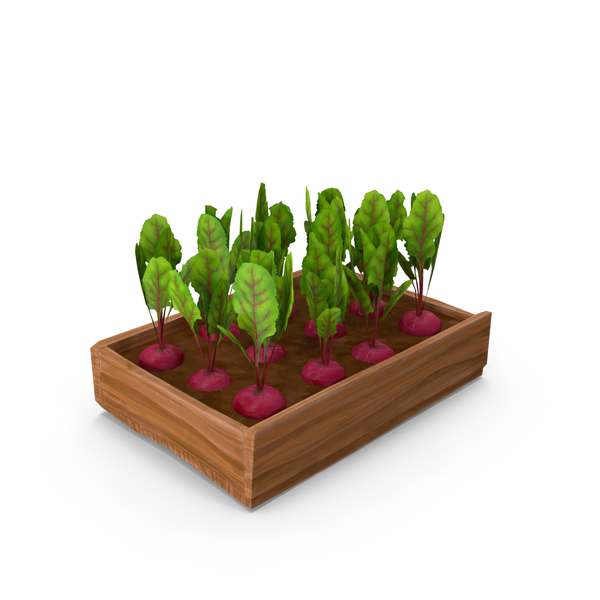 Beet: Beets PNG & PSD Images Beet: Beets PNG & PSD Images