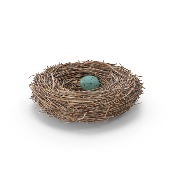 Bird Nest PNG & PSD Images Bird Nest PNG & PSD Images
