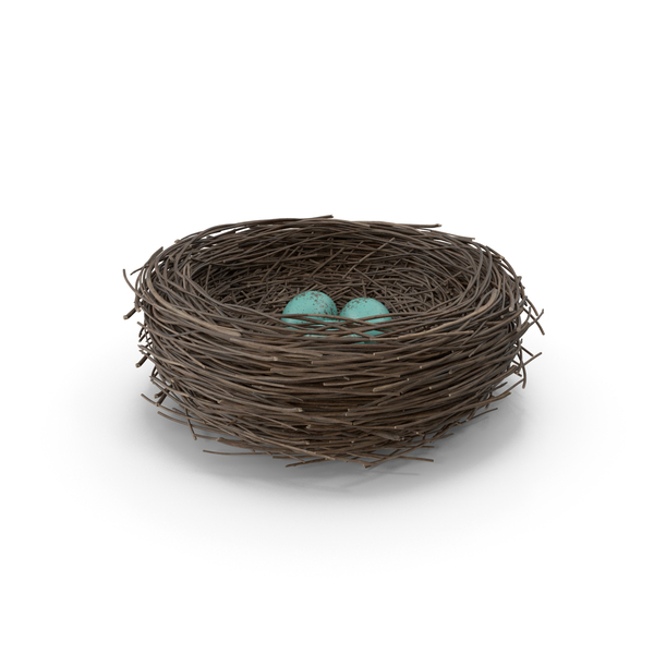 Egg: Bird Nest PNG & PSD Images Egg: Bird Nest PNG & PSD Images