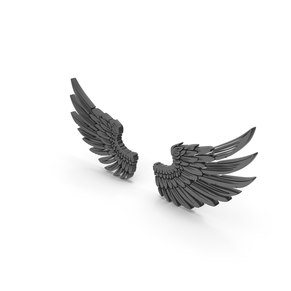 Logo: Bird Wings Black PNG & PSD Images