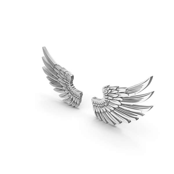 Bird Wings Silver PNG Images & PSDs for Download | PixelSquid - S11685768C