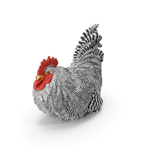 Chicken: Black and White Rooster PNG & PSD Images Chicken: Black and White Rooster PNG & PSD Images