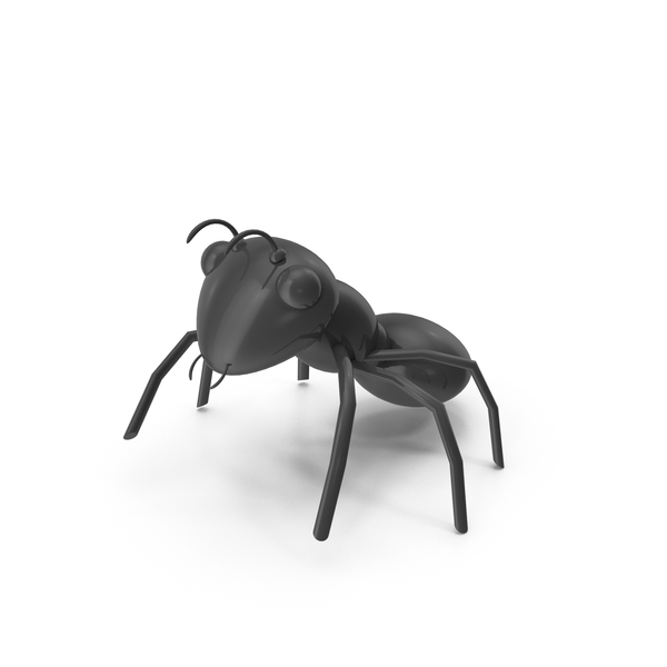 Black Ant PNG & PSD Images