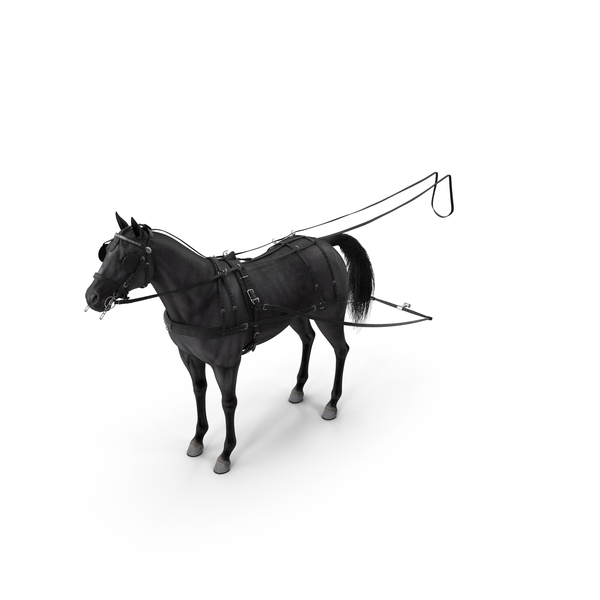 Black Horse Single Driving Harness PNG & PSD Images Black Horse Single Driving Harness PNG & PSD Images