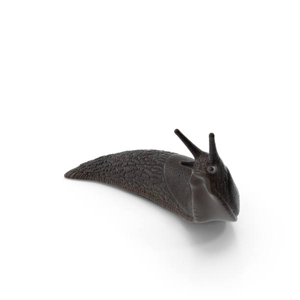 Black Slug Reaching Up PNG & PSD Images Black Slug Reaching Up PNG & PSD Images
