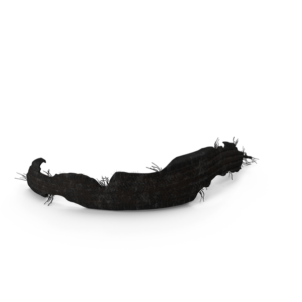 Bicycle: Black Tire Section PNG & PSD Images Bicycle: Black Tire Section PNG & PSD Images