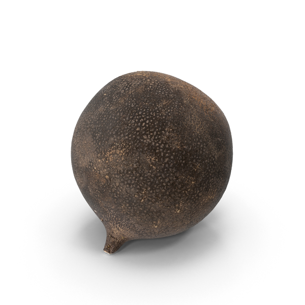 Black Turnip PNG & PSD Images Black Turnip PNG & PSD Images