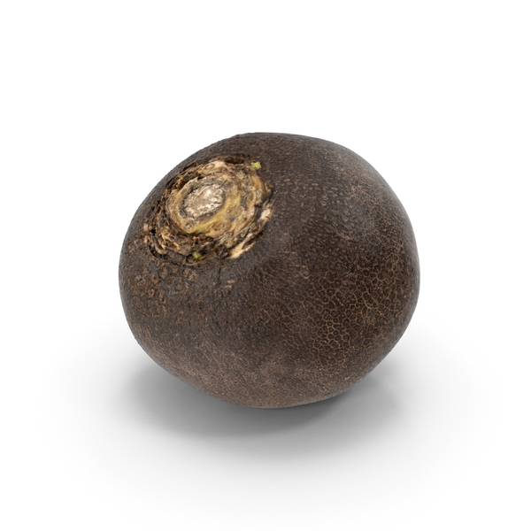 Black Turnip PNG & PSD Images Black Turnip PNG & PSD Images