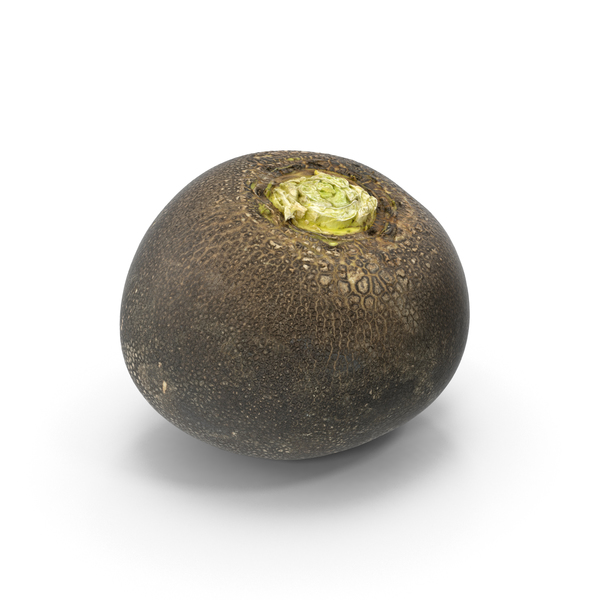 Radish: Black Turnip PNG & PSD Images