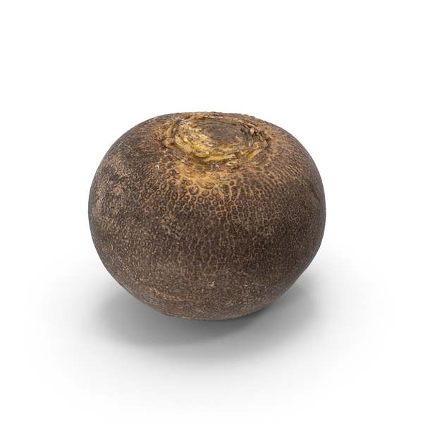 Black Turnip PNG & PSD Images Black Turnip PNG & PSD Images