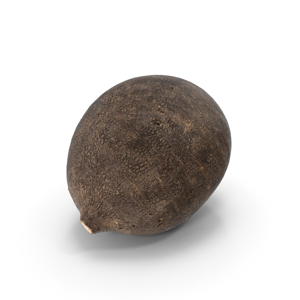 Black Turnip PNG & PSD Images Black Turnip PNG & PSD Images