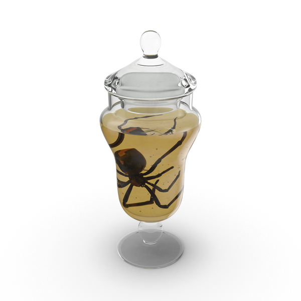 Black Widow Specimen Jar PNG & PSD Images Black Widow Specimen Jar PNG & PSD Images